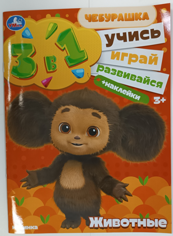 17.png