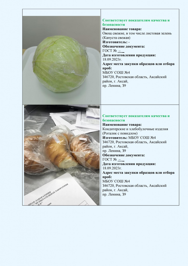 Итоги исследований социальная сфера ЗАНЕСЕНИЕ - 0010.jpg