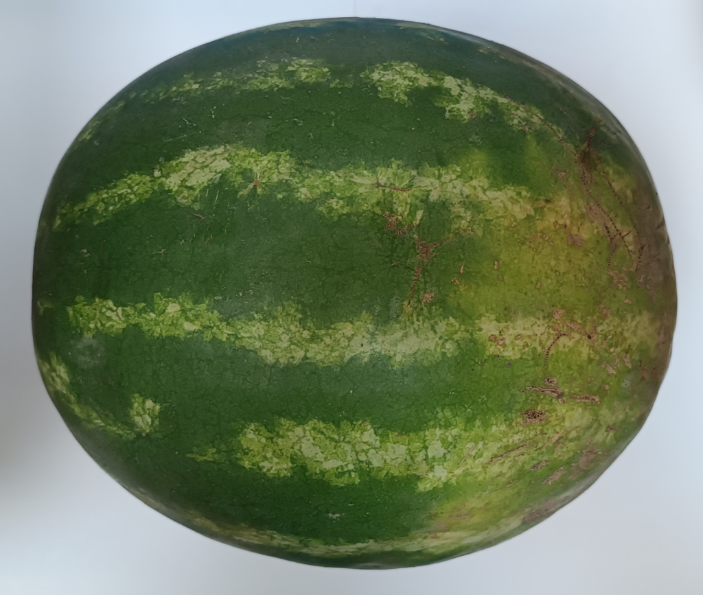 506.png